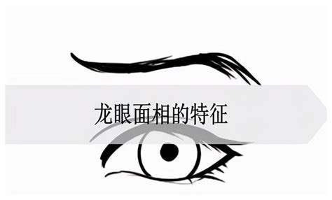 龍眼 面相|龙眼面相的特征图解